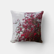 Traumhafte rote Bougainvillea Blumen-Fotografie-De