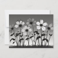 Traumhafte Schwarz-Weiß-Blumen-Schatten
