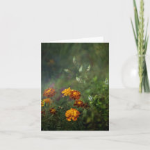 Traumhafte Studentenblumen-Fine-Art-Foto