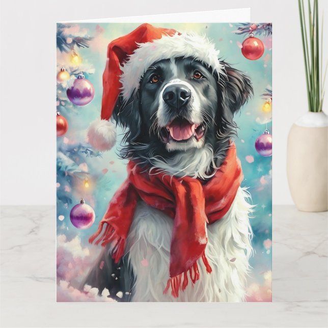 Traumhafte Weihnachtsfarbe Schwarzer und weißer Hu Karte (Vorderseite)