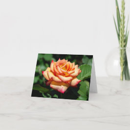 Traumreise zur Rose Karte