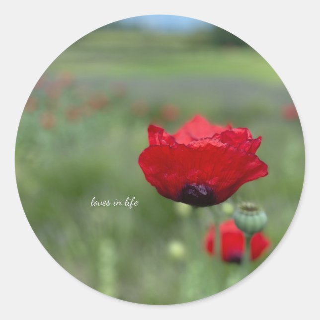 Traumroter Mohn Runder Aufkleber (Vorderseite)