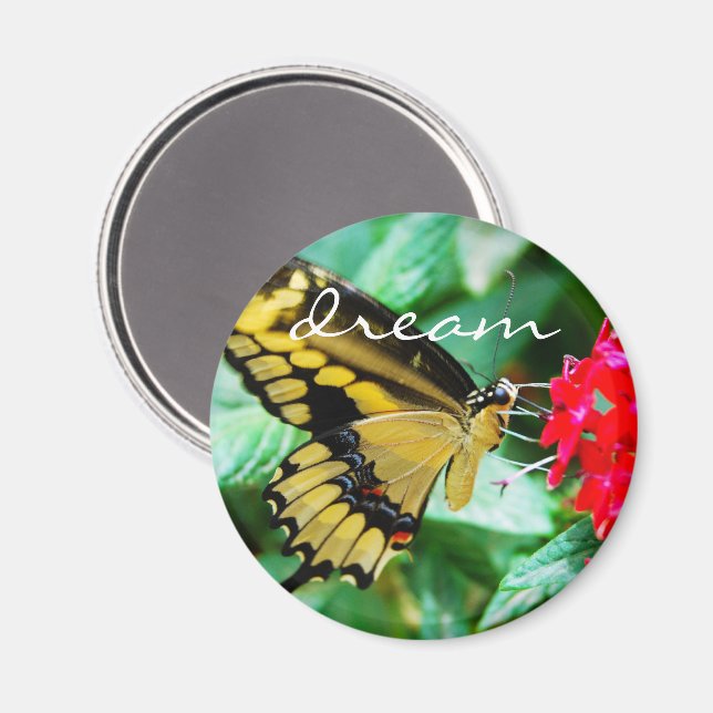 Traumskript für Gelbe Schmetterling-Fotos Magnet (Vorderseite/Rückseite)