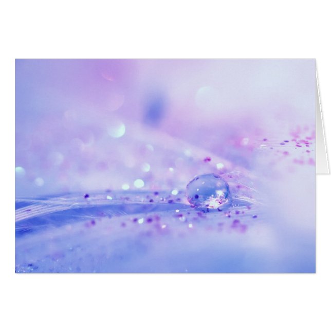 Traumzeit (Vorderseite (Horizontal))