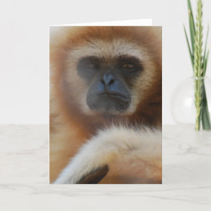Traurige Gibbon-Gruß-Karte Karte