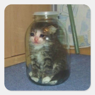 traurige Katze im Glas Quadratischer Aufkleber