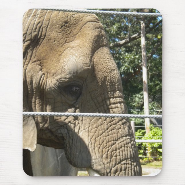 trauriger Elefant Mousepad (Vorne)