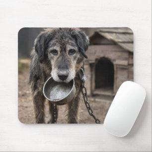 Trauriger Hund mit leerer Wasserschüssel Mousepad