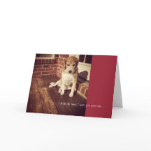 Trauriger Hund vermisst, du Karte