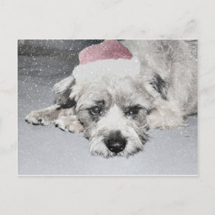 Trauriger kleiner Weihnachtshund Feiertagspostkarte