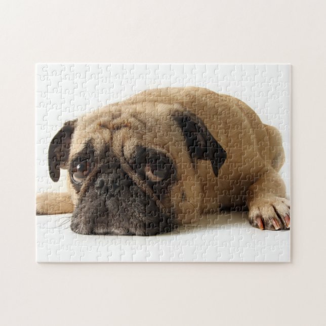 Trauriger Mops (Horizontal)