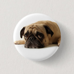 Trauriger Mops Button
