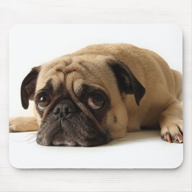 Trauriger Mops Mousepad (Vorne)