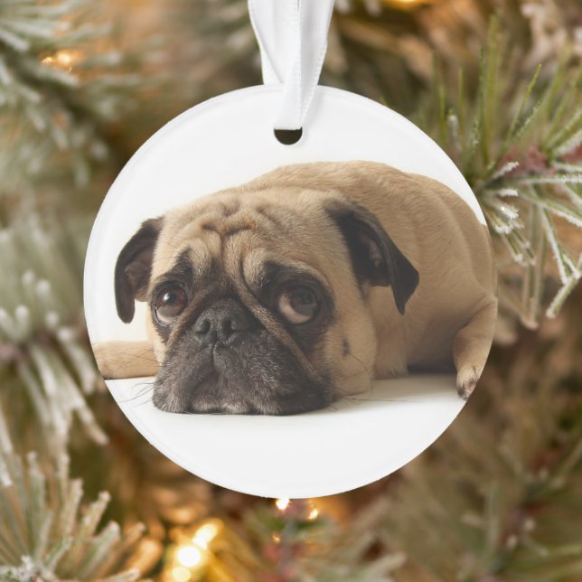 Trauriger Mops Ornament (Baum)