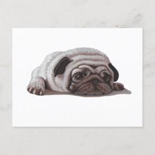 Trauriger Mops Postkarte