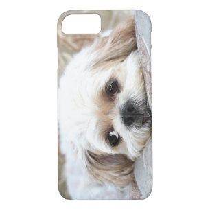 Trauriger Shih Tzu stellen gegenüber Case-Mate iPhone Hülle