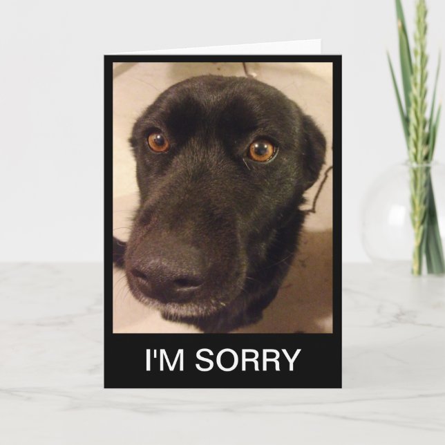 Trauriger Tag, an dem ich Entschuldigung habe Karte (Vorderseite)
