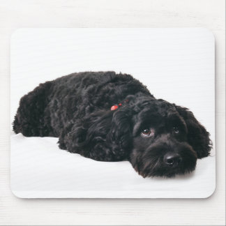 Trauriger Welpe Mousepad