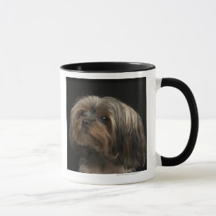 Trauriges yorking Gesicht, das zu dem links schaut Tasse