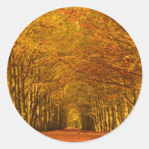 Traverser la forêt en automne autocollant rond