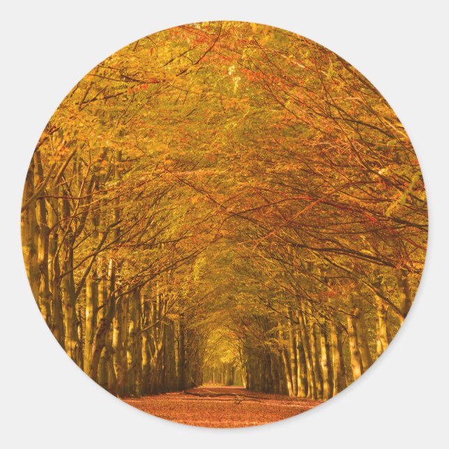 Traverser la forêt en automne autocollant rond (Devant)