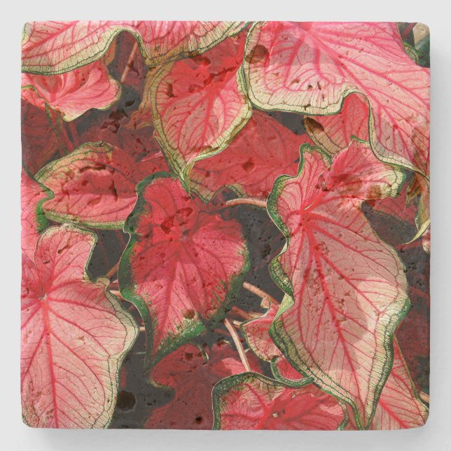 TRAVERTINE STONE UNTERSETZER, "CALADIUM" STEINUNTERSETZER (Vorderseite)