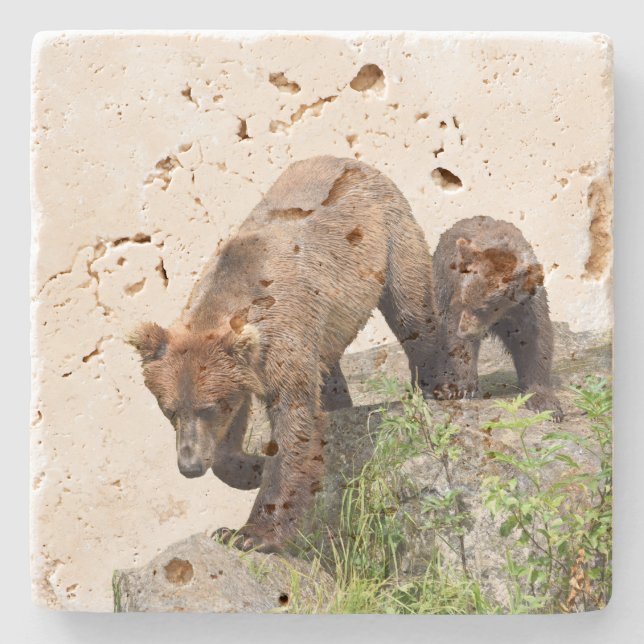 TravertinsteinUntersetzer mit Grizzlybären u. Steinuntersetzer (Vorderseite)