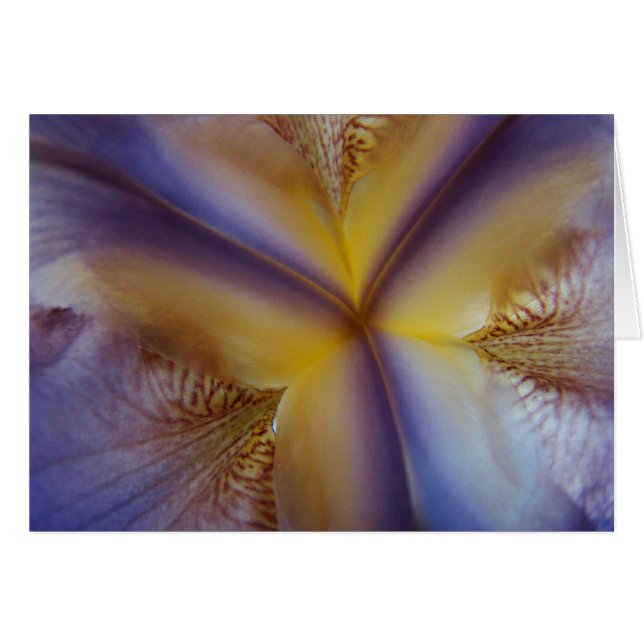 Tre (Vorderseite (Horizontal))