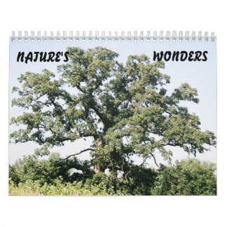 Tree-02, NATUR, WUNDERT sich Kalender