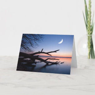 Tree at Starnberg Lake   Muensing Bavaria Germany Karte