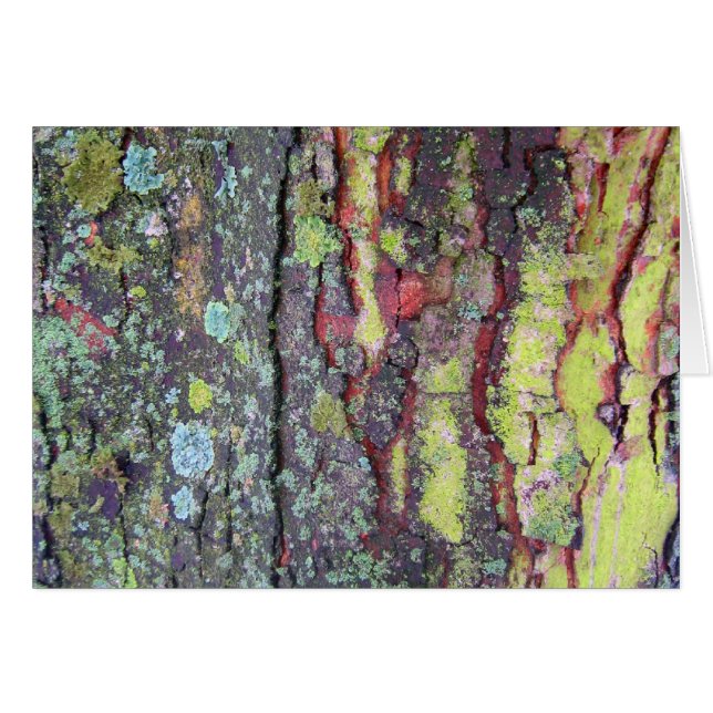 Tree Bark (Vorderseite (Horizontal))