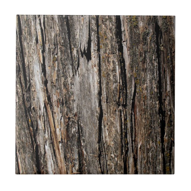 Tree Bark Fliese (Vorderseite)