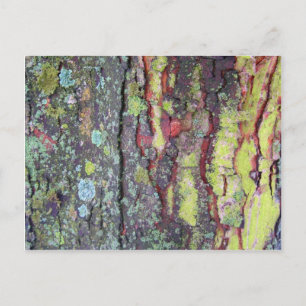 Tree Bark Postkarte