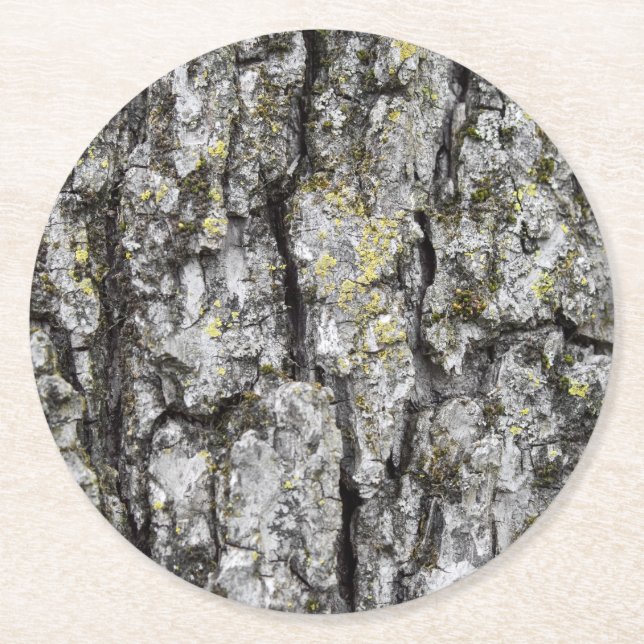 Tree Bark Runder Pappuntersetzer (Vorderseite)