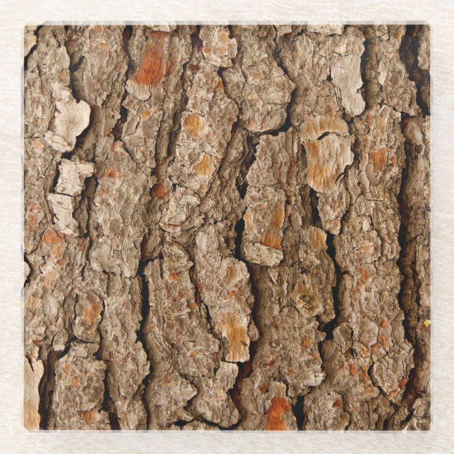 Tree Bark Texture Glasuntersetzer (Vorderseite)