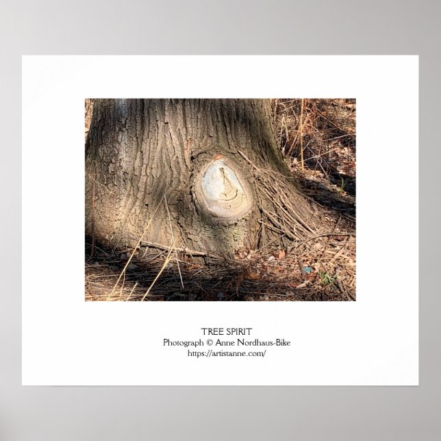 Tree Bark Texture Large Knothole Poster (Vorne)