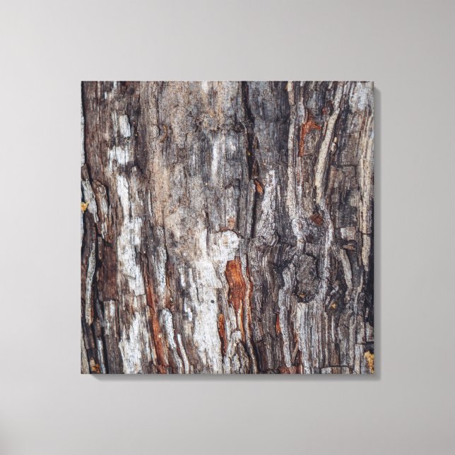 Tree Bark Texture Leinwanddruck (Vorderseite)