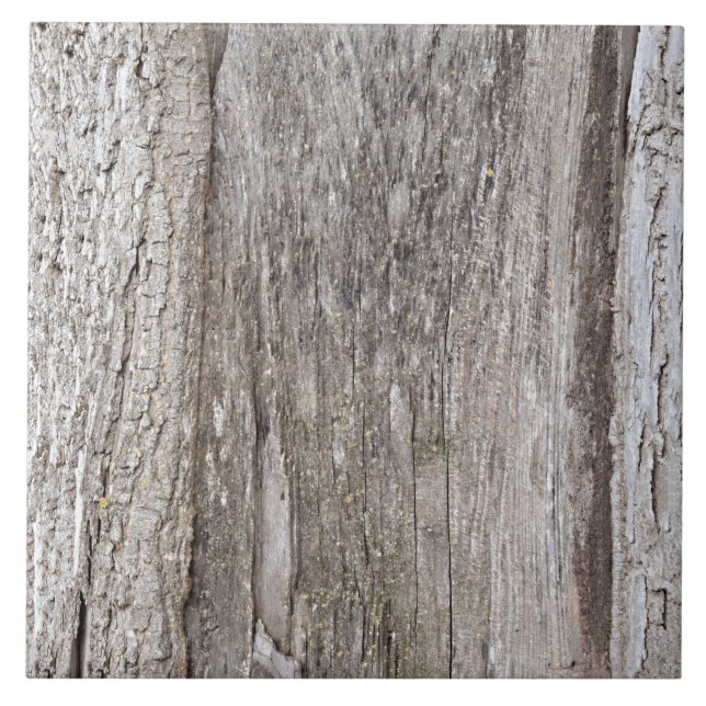 Tree Bark Tile Fliese (Vorderseite)