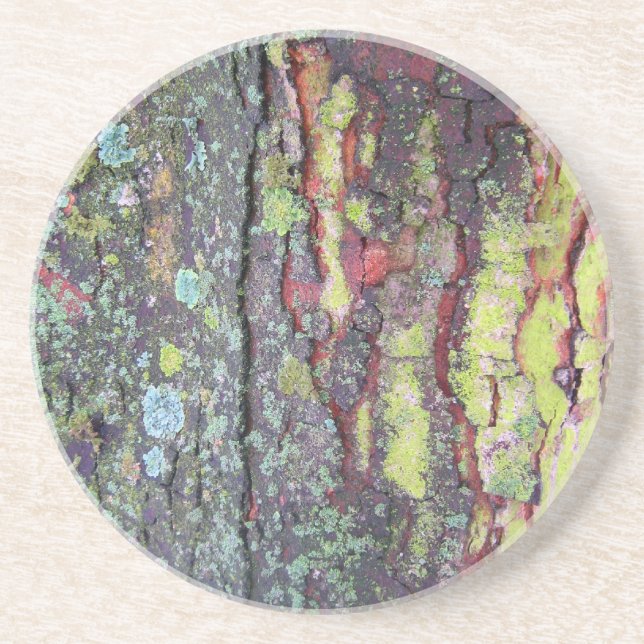 Tree Bark Untersetzer (Vorne)