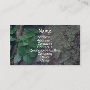 Tree Bark Verlasst Nature Fotografy Business Card Visitenkarte