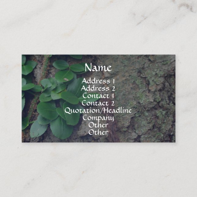 Tree Bark Verlasst Nature Fotografy Business Card Visitenkarte (Vorderseite)