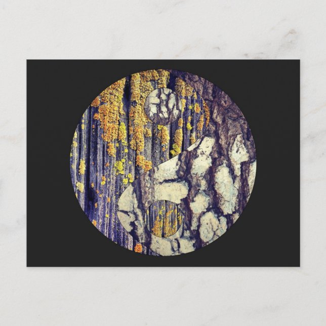 Tree Bark Yin Yang Postcard Postkarte (Vorderseite)