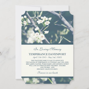 Tree Blossom   Frühjahrsankündigung Ankündigung