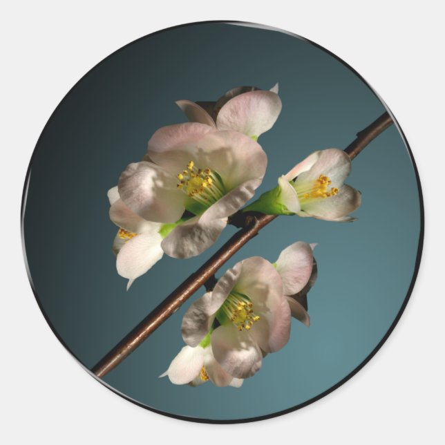 Tree Blossom Umschlag Aufkleber (Vorderseite)