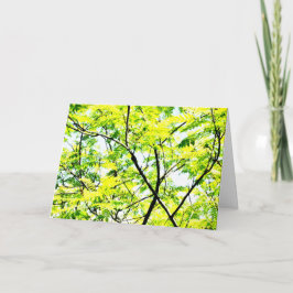 Tree Canopy Pop Art Karte