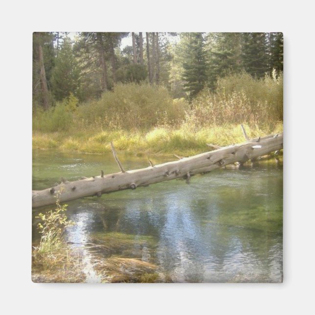 Tree Creek Foto Magnet (Vorne)