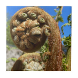 Tree Fern Frond Fliese