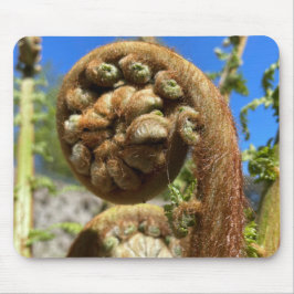 Tree Fern Frond Mousepad