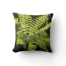 Tree Fern im Regenwald