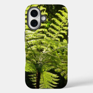 Tree Fern im Regenwald title_seo2